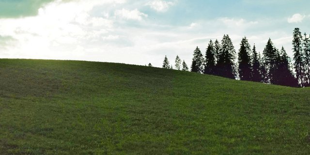 Düstere Ausgangslage: Ein Wiederansiedlungsprojekt scheint in den Amtsstuben «besser anzukommen» als ein Vorhaben der produzierenden Landwirtschaft. (Bild sb)