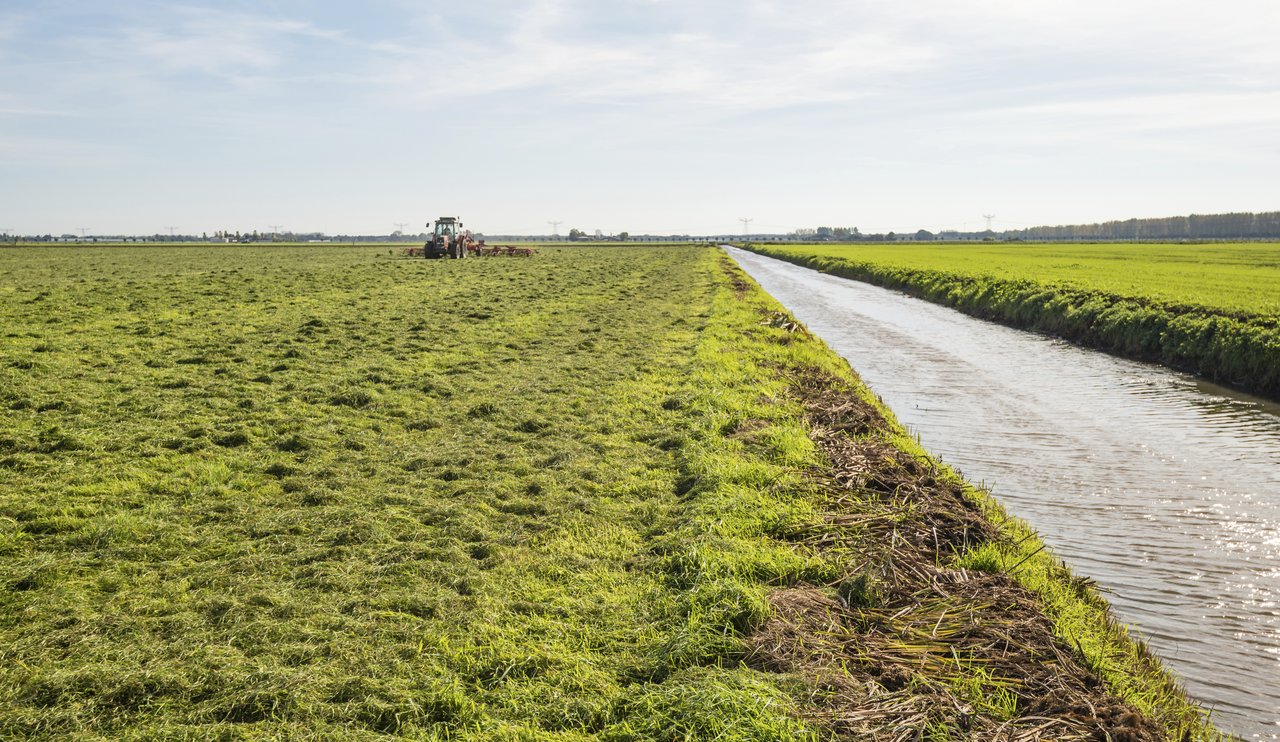 Sind sauberes Trinkwasser und intensive Landwirtschaft miteinander vereinbar? Vertreter beider Parteien diskutieren in Solothurn. (Symbolbild iStock)