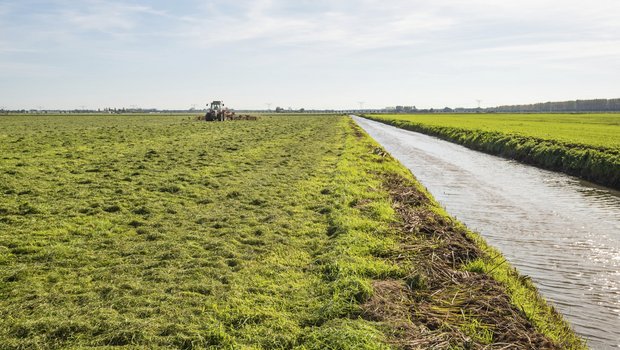 Sind sauberes Trinkwasser und intensive Landwirtschaft miteinander vereinbar? Vertreter beider Parteien diskutieren in Solothurn. (Symbolbild iStock)