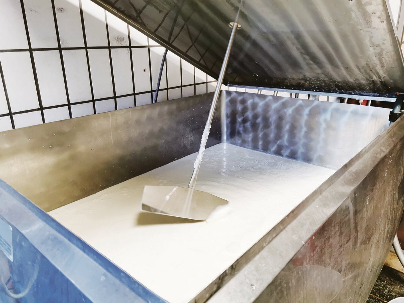 Zweimal monatlich wird jeweils eine offizielle Tankmilchprobe entnommen.(Bild Simone Barth).