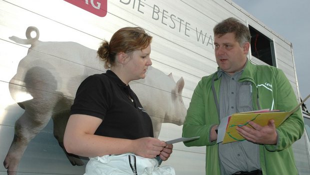 Export von vier Mutterlinien-KB-Ebern nach Deutschland vor Wochenfrist: Henning Luther bespricht in Sursee LU mit der deutschen Transportunternehmerin die Zollformalitäten. (Bild: Armin Emmenegger