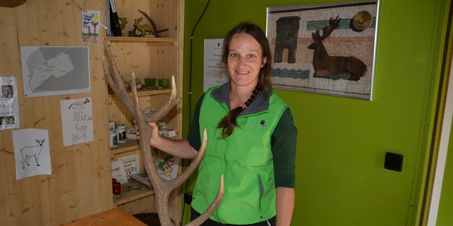 Katja Niederberger zeigt ein abgeworfenes Geweih des Platzhirsches. Es sei sehr schwer und massiv. (Bild Franziska Jurt)