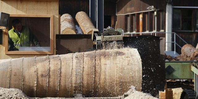 Die Umweltkommission des Nationalrates will den Einsatz von Schweizer Holz fördern. (Bild ji)