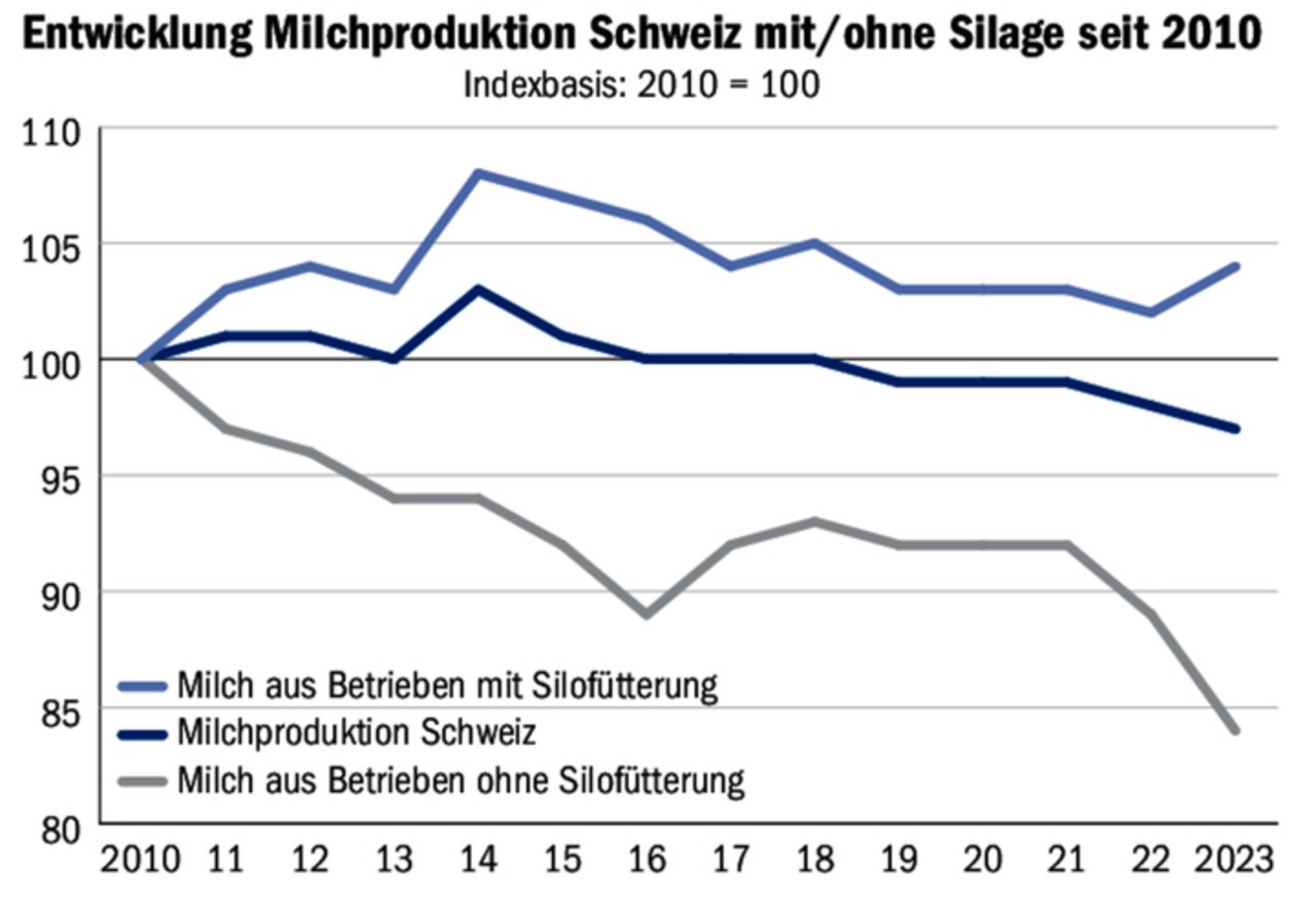 Immer mehr Betriebe verfüttern ihren Milchkühen Silage. Die Milchproduktion hat leicht abgenommen.