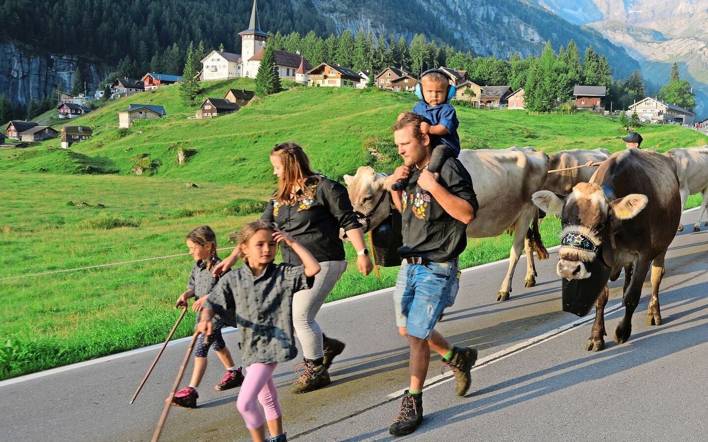 Die Älpler Familien und ihr Vieh kehrten auf den Urnerboden zurück.