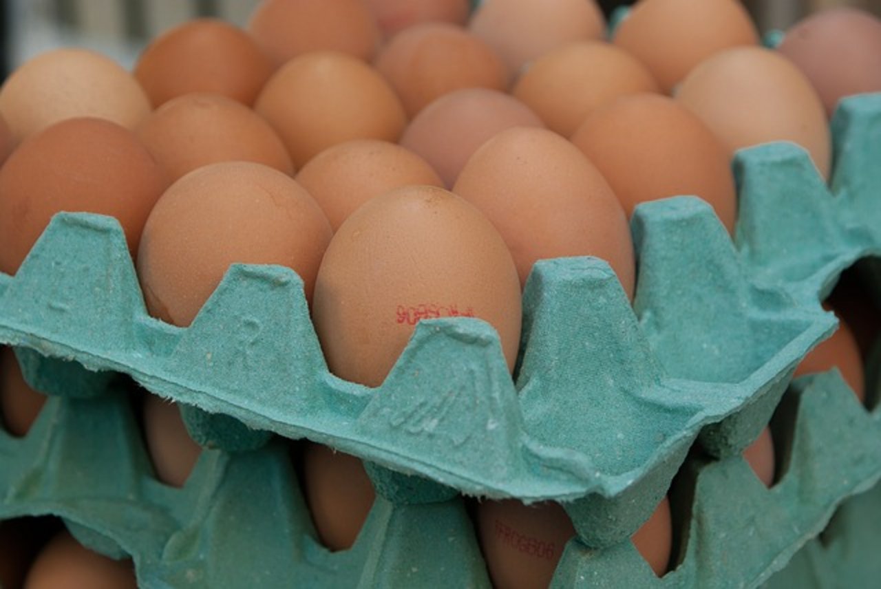 Indonesien will den Geflügelmarkt regulieren und zerstört 10 Millionen Eier. (Symbolbild Pixabay)