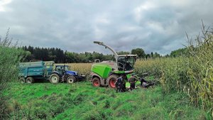 Nach einer herausfor Nach einer herausfordernden Saison startete vor Kurzem die Maisernte. Dabei liessen sich Lena Junker und ihr Team auch von einer Panne nicht bremsen.