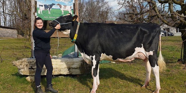 Bettina Belser mit Wolfhead Hotspot Andorra, die sich an der Aargauer Eliteschau mit ihrer Vollschwester messen wird. 