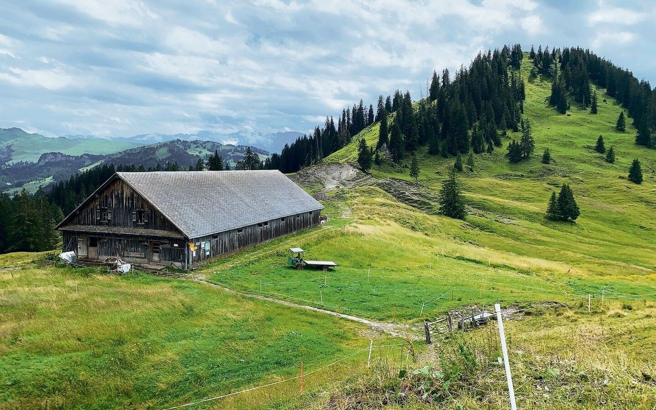 Die Alp Furggelen liegt am Wanderweg von der Ibergeregg Richtung Brunni oder Oberiberg. 