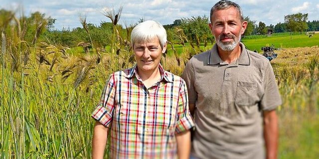 Der Betrieb Steinbüllen wird in der dritten Generation von Claudia und Ruedi Künzi-Schnyder bewirtschaftet. Betriebszweige sind: Milchwirtschaft, Futter- und wenig Ackerbau. (Bild getreidedeko.ch)