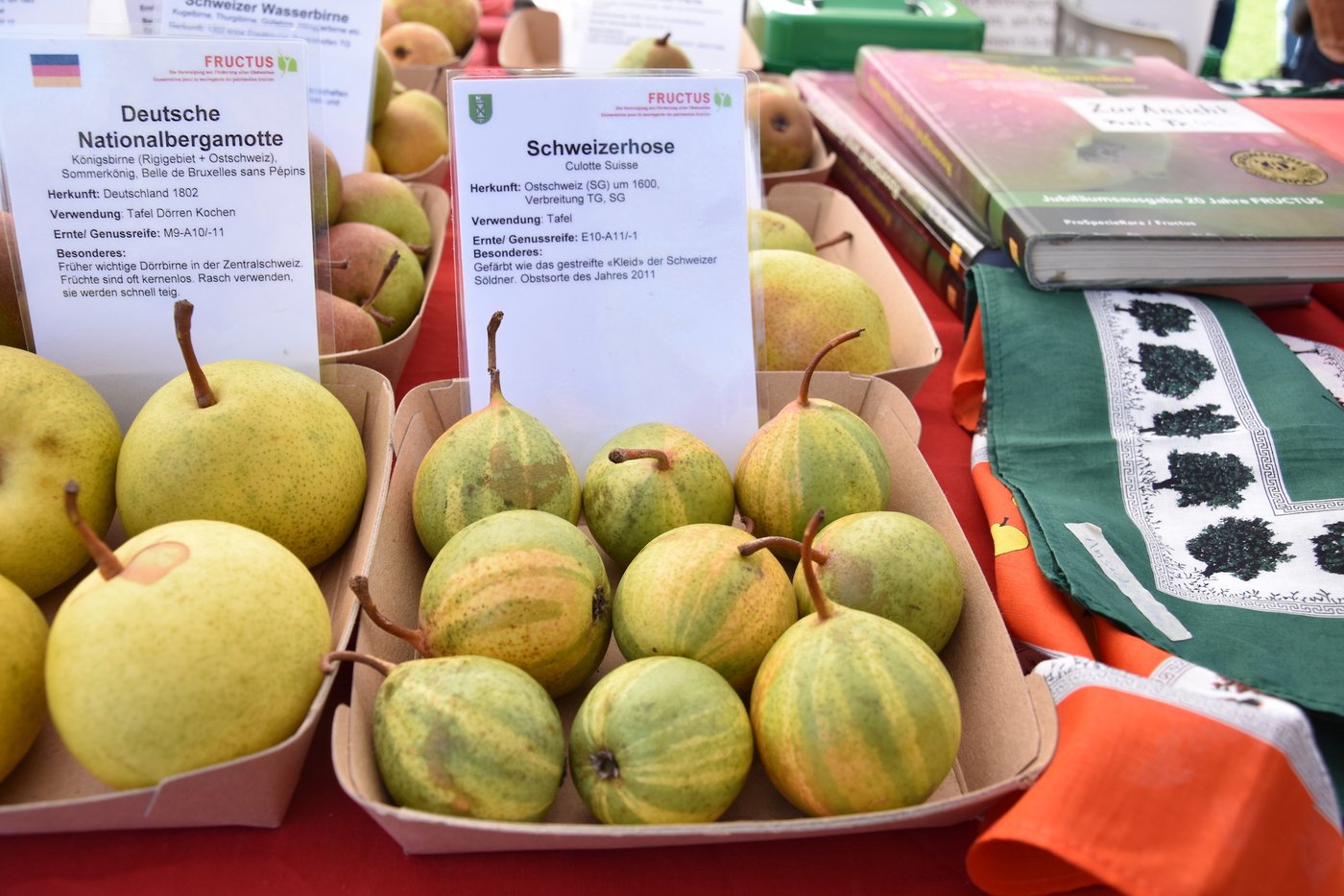 Fructus präsentierte alte Sorten, wie die Schweizerhose. (Bild noe).