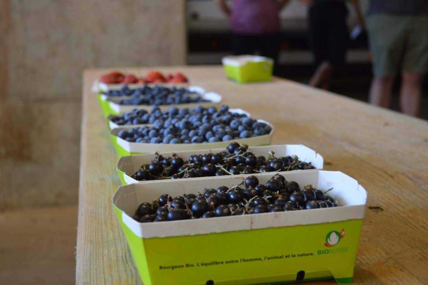 Der Anteil Biofläche in der Schweiz beträgt aktuell 16 Prozent, in der EU liegt er bei 7,7 Prozent. Angestrebt werden 25 Prozent EU-Bioflächen bis 2030. (Bild BauZ)  