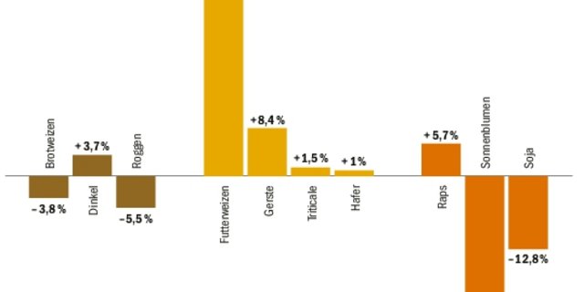 Die Getreide- und Ölsaatenflächen wurden per Ende Mai neu eingeschätzt. Beim Brotgetreide ist mit Flächenrückgängen zu rechnen. Die Flächen vom Futtergetreide nehmen hingegen zu. (Grafik BauZ/Quelle Agristat)