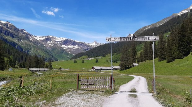 Einblick ins Glarner Alpleben mit «Braunvieh bi dä Lüüt» Corona-bedingt gab es eine lange Wartezeit, nun aber kann wieder ein Sommerevent von Braunvieh Schweiz stattfinden. (Bild Braunvieh Schweiz)