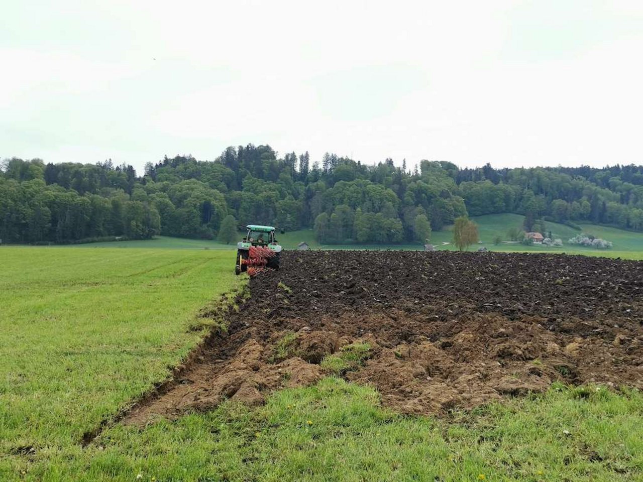 Der Pflug unterdrückt Unkraut auf mechanische Weise. Weil sein Einsatz viel Kraftstoff braucht und den natürlichen Aufbau eines gesunden Bodens stört, sehen viele Landwirte zusehends Nachteile im Pflug. (Bild mg) 