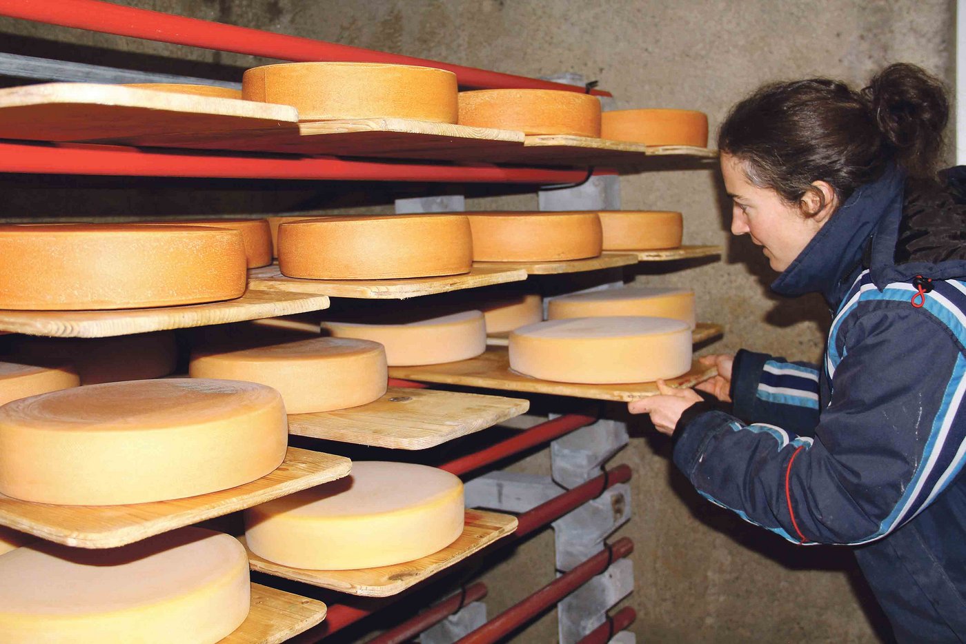 Die Milch vom Basihof wird nicht auf dem Weltmarkt verscherbelt, sondern direkt veredelt und verkauft. Ein Molkerei-Abo bringt den Betriebsleitern Sicherheiten. (Bilder Nadine Baumgartner)