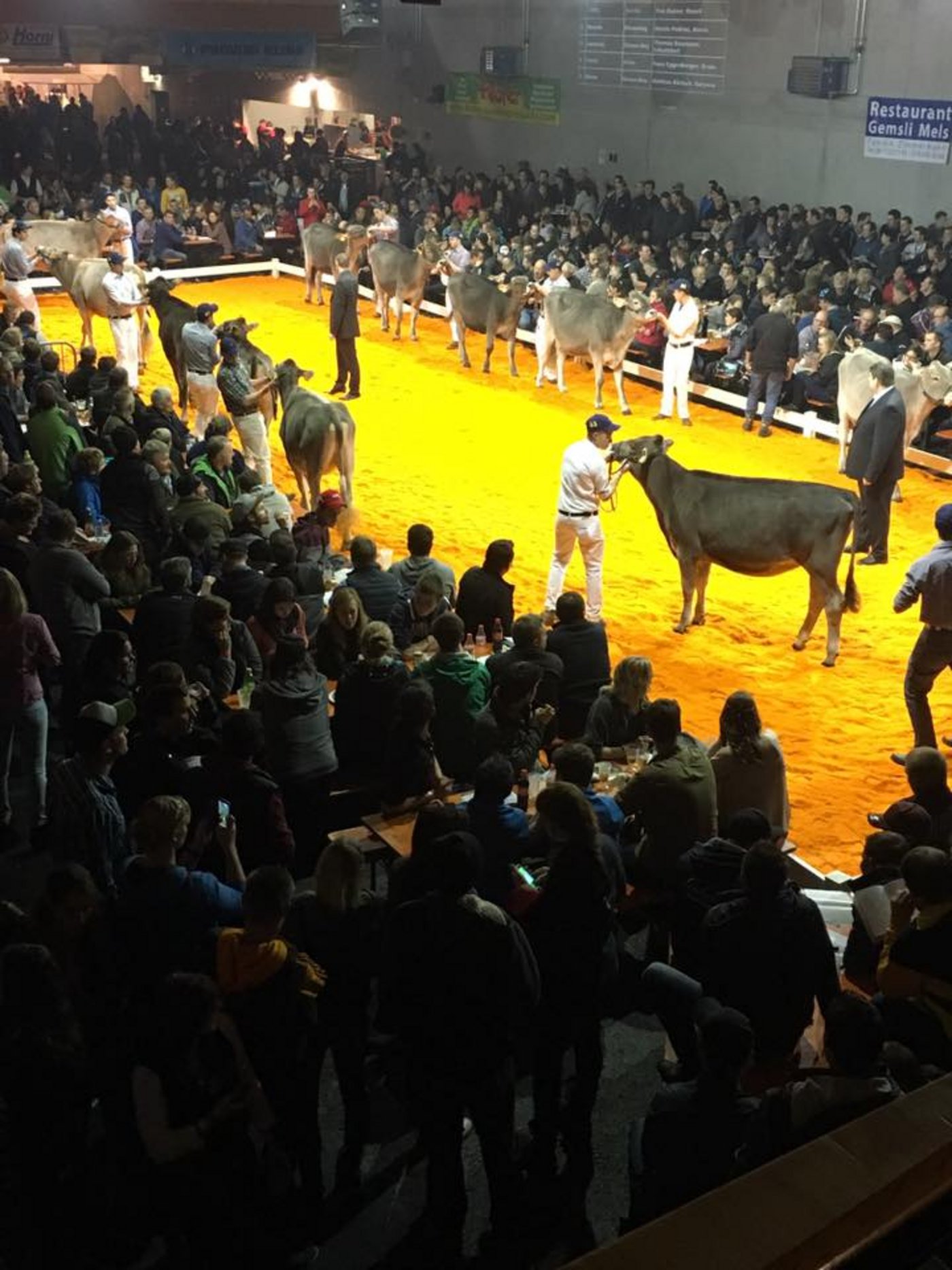 Stolz wurden die Tiere den vielen interessierten Zuschauern vorgeführt.