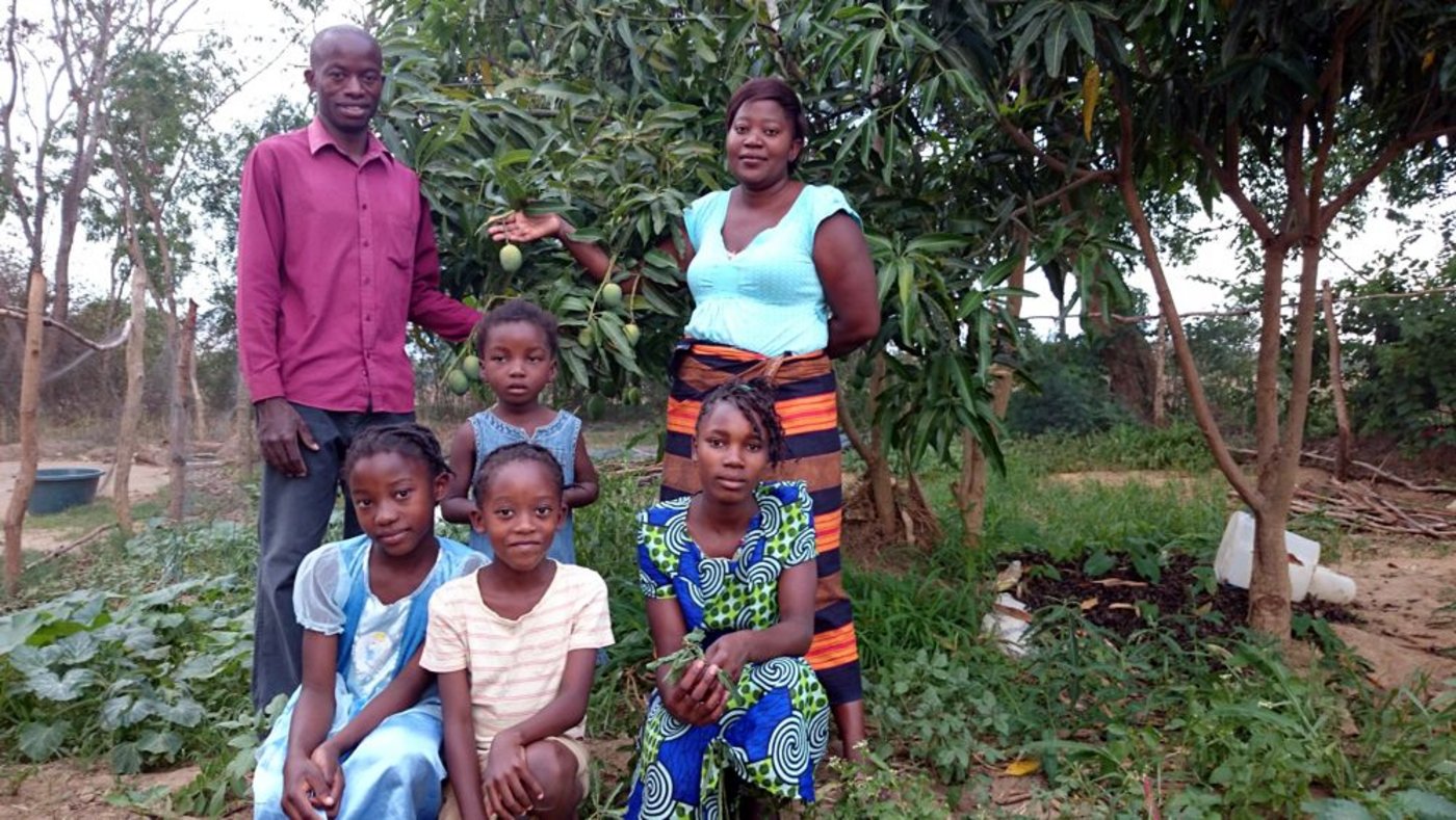 „Die Wirtschaft“ liegt am Boden, die Fruchtbarkeit der Natur beeinträchtigt dies vorderhand nicht. Der mit Früchten behangene Mangobaum im Garten meiner Nachbarfamilie mit ebendieser.