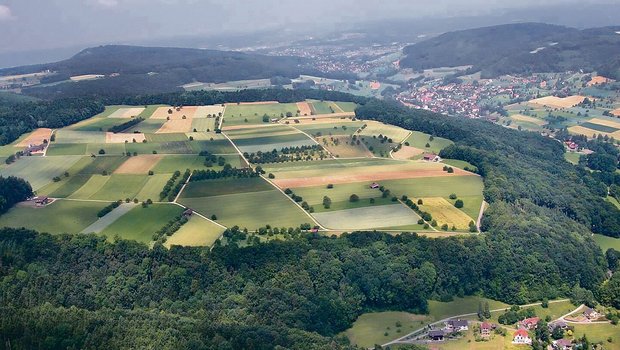 Das Mittelland zeigt Das Mittelland zeigt von oben ein Mosaik mit Ackerbau und Weideland. Wie bewirtschaftet wird, hängt von einer ganzen Reihe von Faktoren ab.