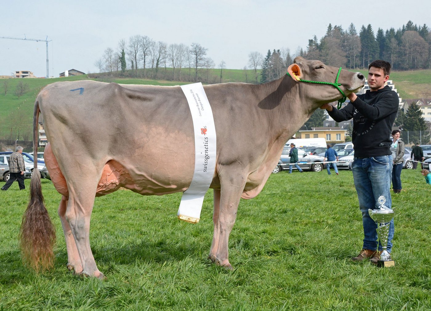 Grand Champion Jongleur Silvana, GoldHill Genetics, Romoos. (Bilder ag)