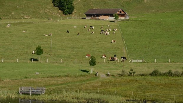 Im Alp-Pflegekurs lernen die Zivildienstleistenden unter anderem, wie man Weiden einzäunt. (Bild BauZ)