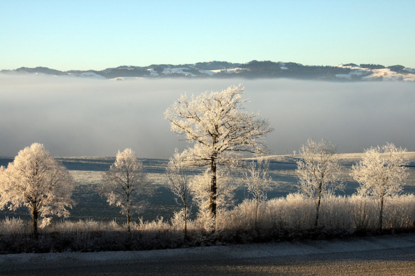 Auch wenn bei Familie Länzlinger nach Fionas Hirnschlag noch vieles im Unklaren, wie unter einer Nebeldecke versteckt ist: Sie und Fiona sind überzeugt, dass das Positive siegen wird. (Symbolbild Agnes Schneider Wermelinger)