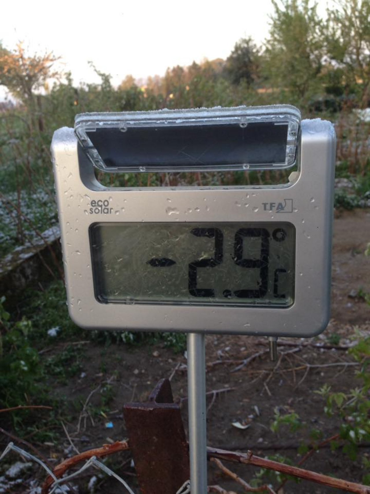 Klirrende Kälte: -2,9 Grad am Donnerstagmorgen in Düdingen. (Bild Werro's Biohof)