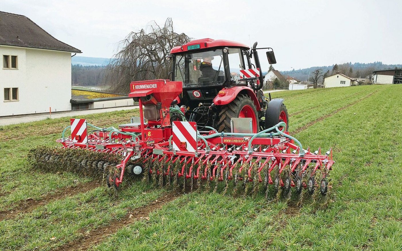 Ein Rollstriegel im Einsatz in der Gerste (DC25). Dieser kann helfen, den Dünger in den Boden einzuarbeiten.