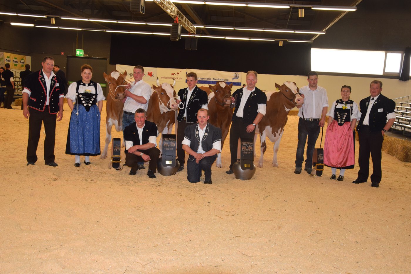 Die Siegerinnen der jungen Kühe.
