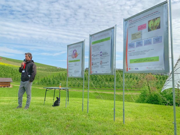 Steinobst-Fachtagung: Spannende Erkenntnisse aus Theorie und Praxis Der Vergleich der mechanischen und chemischen-synthetischen Unkrautregulierung war ein Thema der Tagung. (Bild Agroscope)