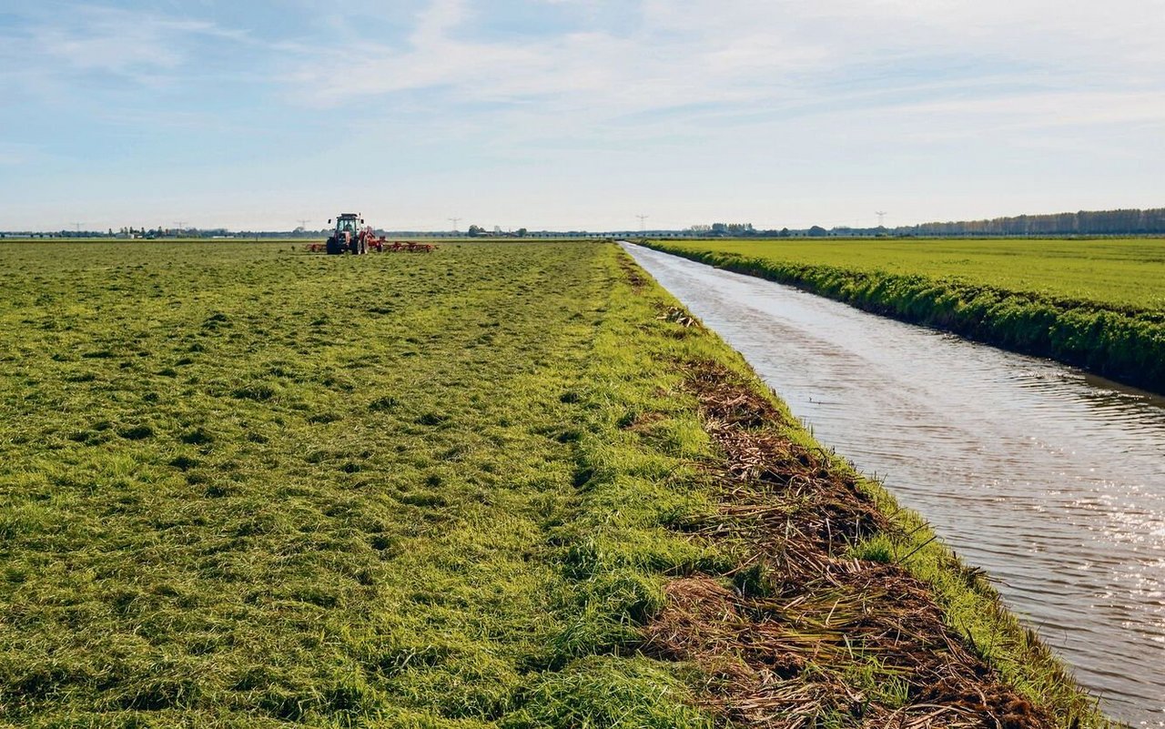 Werden Bäche und Flüsse revitalisiert, kommt es auf der angrenzenden Landwirtschaftsfläche zu Nutzungseinschränkungen und -verboten. Kompensationen werden nur für grosse Projekte gesprochen. 