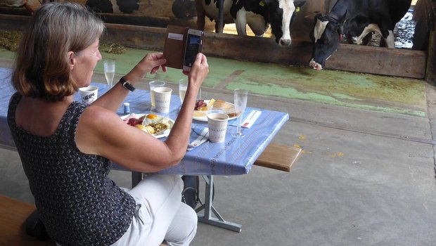 Das Schöne beim Brunch: Frühstücken mit Blick auf die fressenden Kühe. (Bild akr)