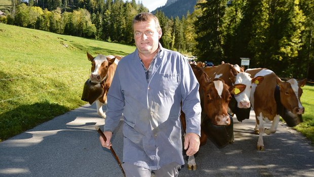 Mein Chef, der Fritz Bürki von der Schwandweid in Schangnau, marschiert stolz mit uns Kuhdamen von der Schau nach Hause.