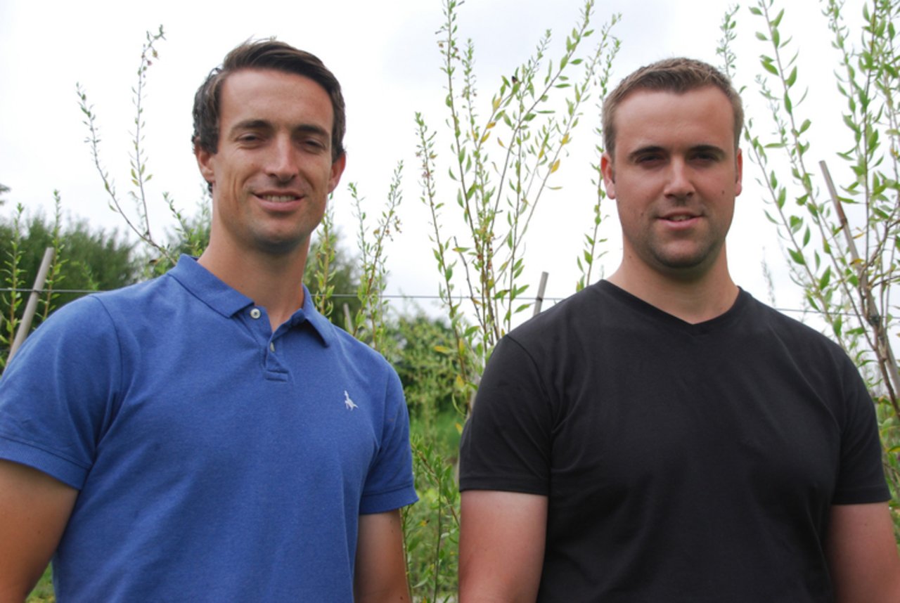 Simon und Christoph Räss (r.) setzen auf Wildbeeren. (Bilder rb)