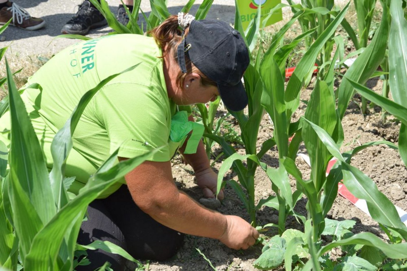 Bei der Schweizer Meisterschaft im Jäten werden nicht nur die Schnelligkeit und die Sauberkeit bewertet, auch das ...