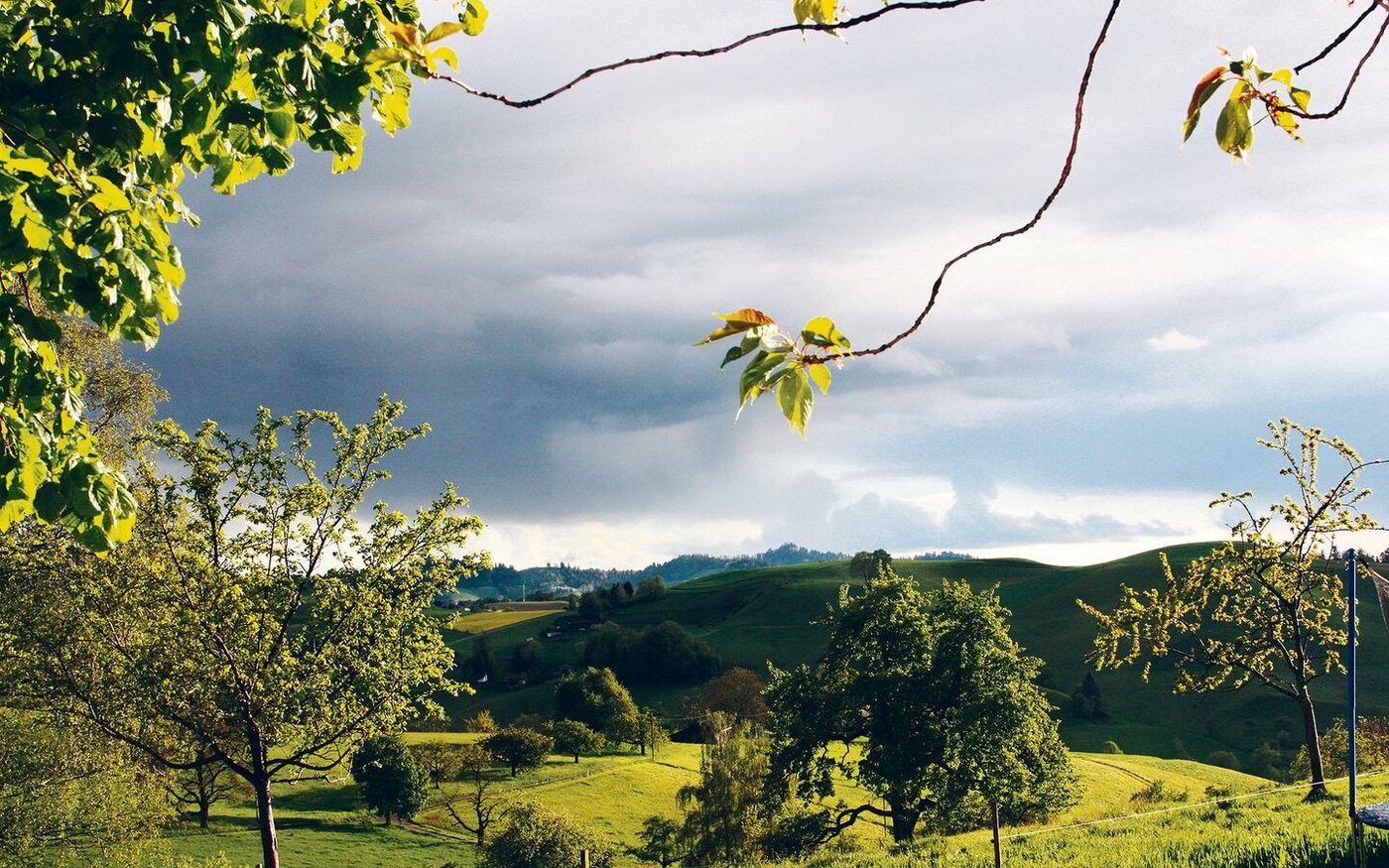 Das Bäregg-Forum zeigte die Stärken des Emmentals auf. Nun gelte es, auf diesen aufzubauen, vorhandene Synergien und vor allem die Marke Emmental zu nutzen, um die Betriebe vom Schatten in die Sonne des Erfolgs zu führen.