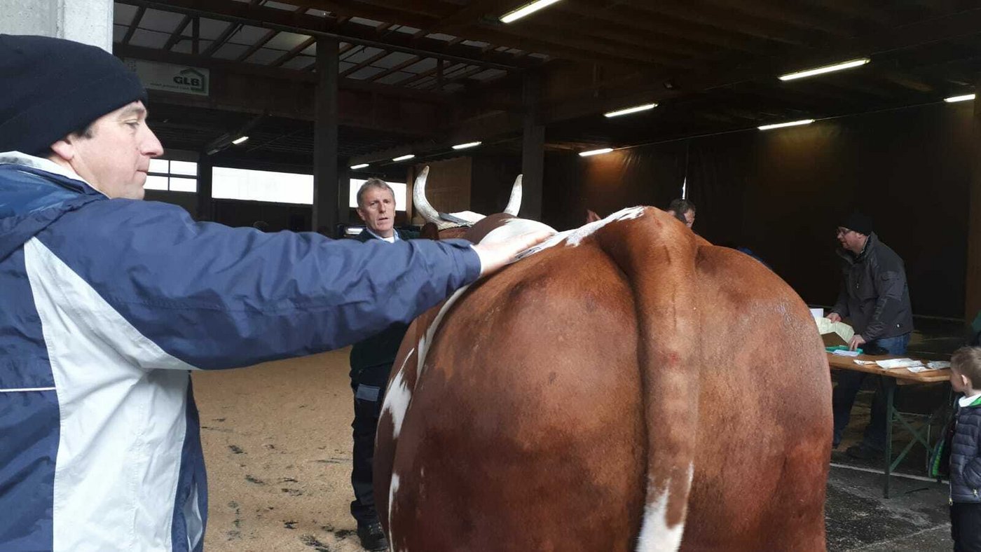 Geführt wird er von Hans Bichsel aus Ranflüh BE.