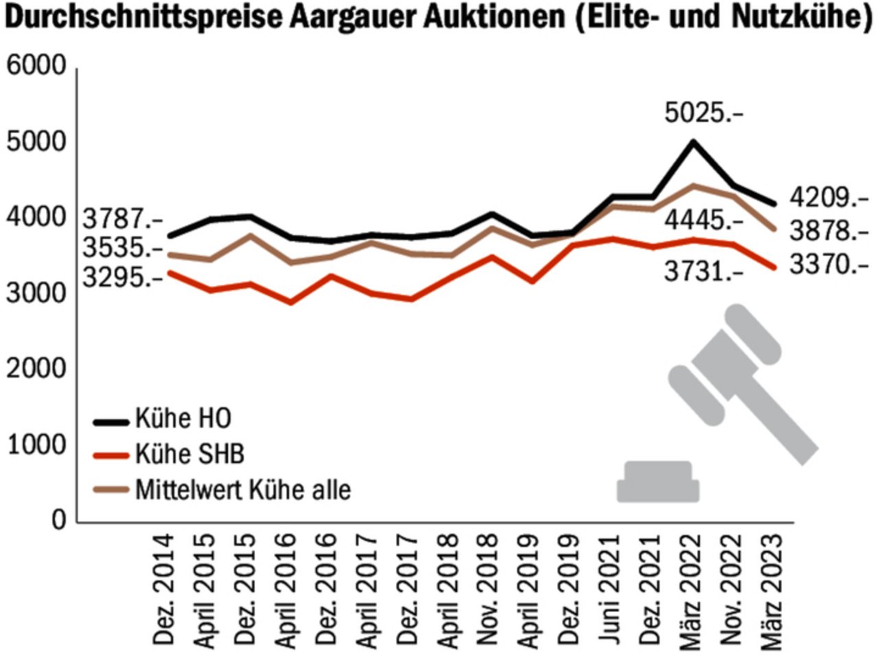 Die Preise an der Aargauer Auktion spiegeln den Markt. Auch Topgenetik sorgt für Ausreisser.