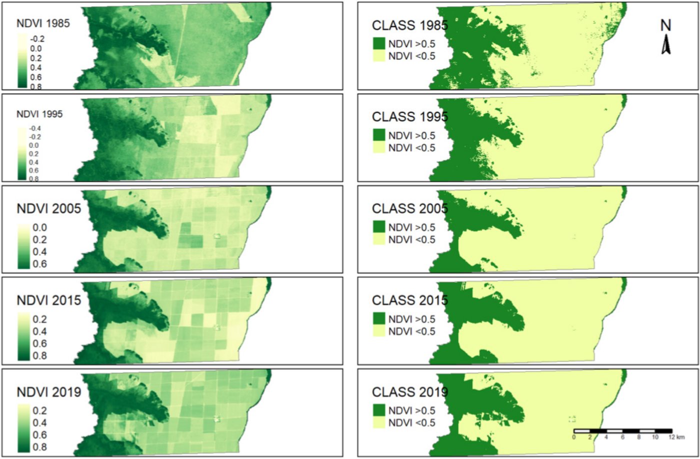Die Grafik zeigt die Entwicklung der Abholzung in der Cerrado Region in Brasilien von 1985 bis 2019. Man sieht, dass die grüne Fläche (Wald) stets kleiner wird. (Quelle Wirkungsstudie HAFL, Grenz) 