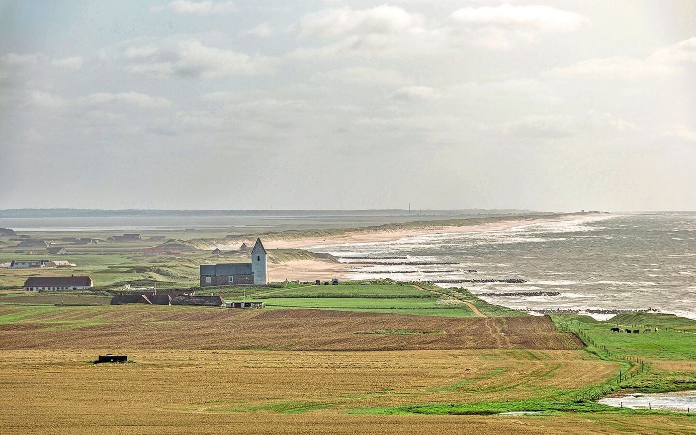 In Dänemark hat eine breite politische Allianz Pläne zu einer umfassenden Transformation der Landwirtschaft ins Auge gefasst. Ein jüngst geschlossenes Abkommen soll allen Ansprüchen Rechnung tragen.