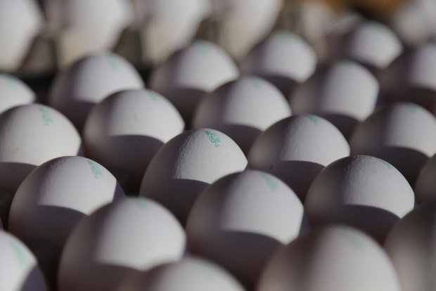 Dass Eier aus der Schweiz stammen, ist den Konsumenten wichtig. (Bild ji) 