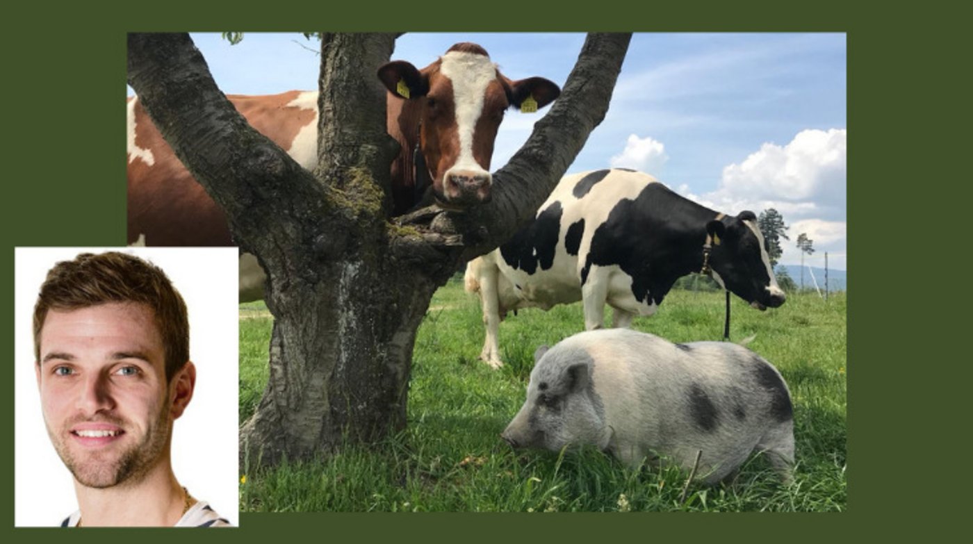 Während seiner Ausbildung und besonderes während des Abstimmungskampfs um die Pflanzenschutz-Initiativen bekam Lukas Streit den Eindruck, dass viele ein falsches Bild von der Landwirtschaft haben. (Bild Lukas Streit)