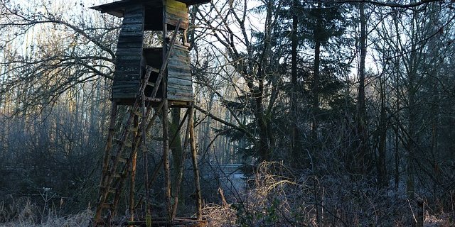 Laut dem Bundesrat bietet das revidierte Gesetz dennoch «einen pragmatischen Umgang mit der wachsenden Zahl an Wölfen.» (Symbolbild Pixabay)