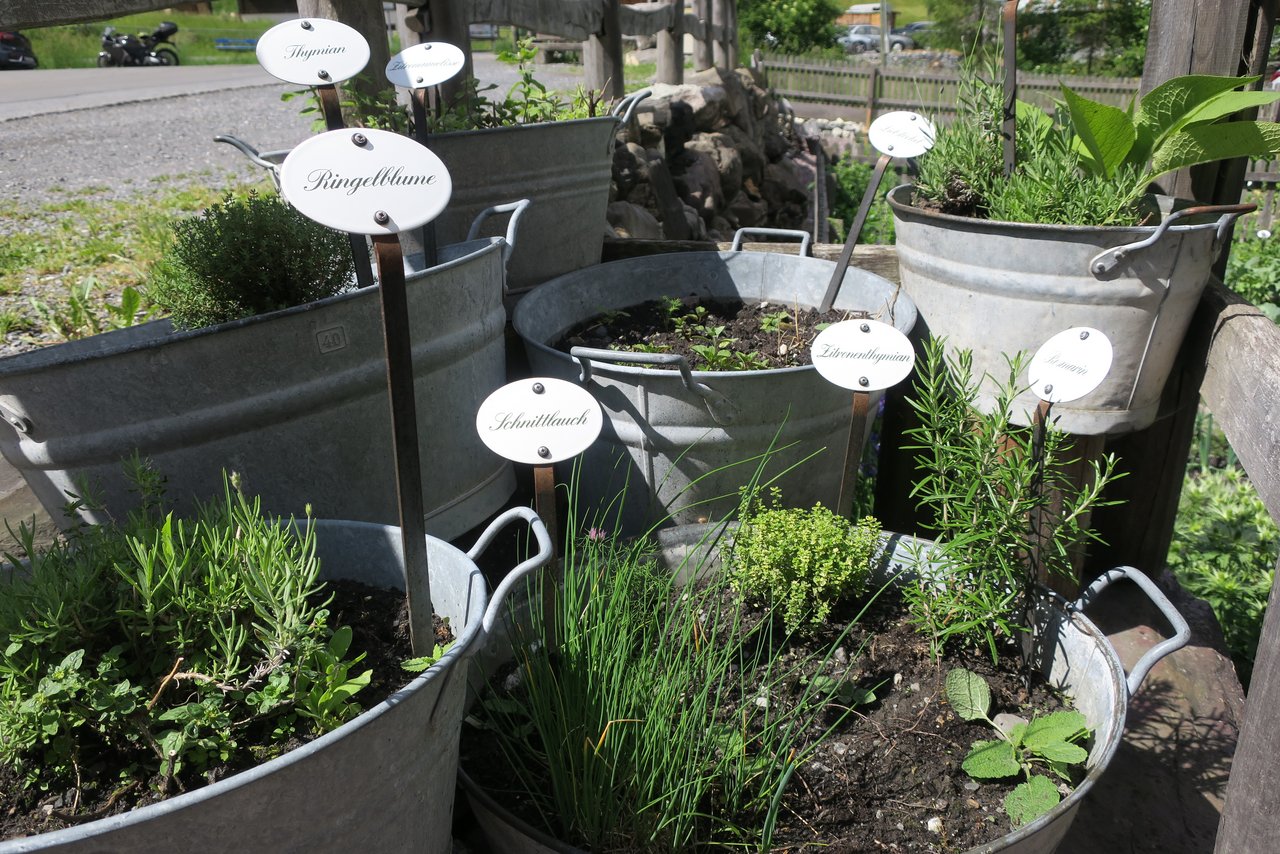 einen Garten im Topf, ...