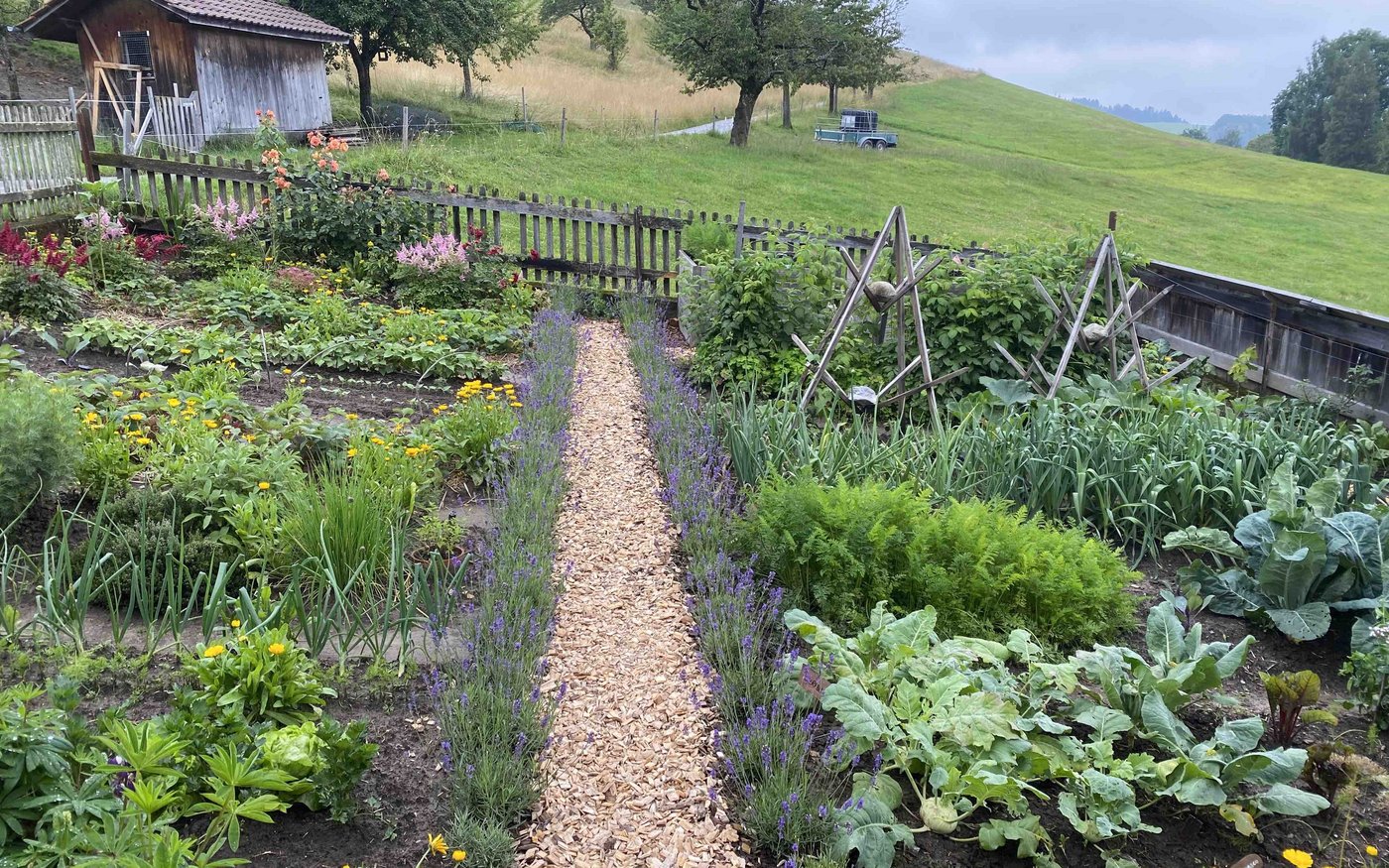 Die Wege sind mit Holzschnitzeln ausgestreut, die Fläche in vier Beete aufgeteilt. 