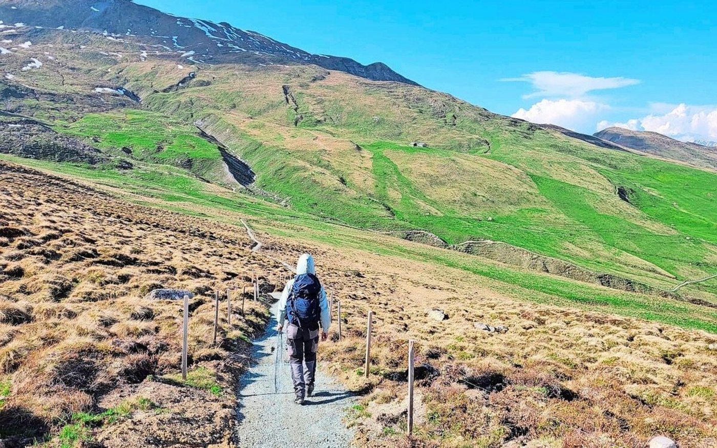 Auf den Alpen sind viele Kilometer Zäune zu erstellen. Hier auf der Alp Oberst im Val Schons.