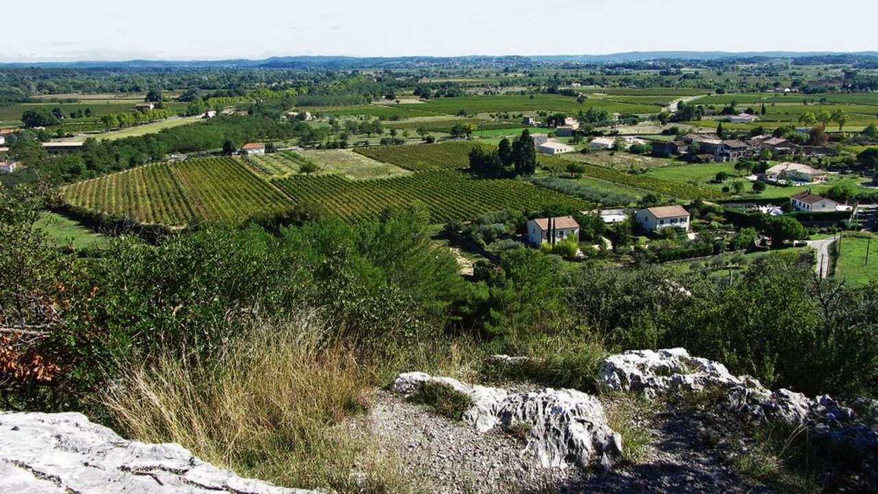 Das Gästehaus von Véronique Hofmann befindet sich in einem kleinen Dorf am Rande des Naturschutzgebietes der Camargue und ist umgeben ist von Weinfeldern und Obstgärten. (Bild: Barbara Heiniger)