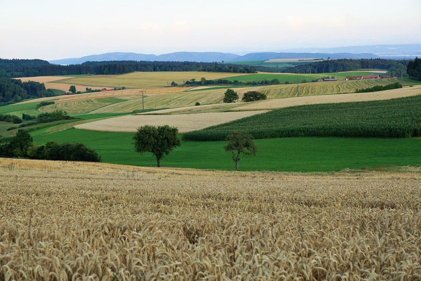 Die Abstimmung habe gezeigt, dass alle Beteiligten das Ziel einer nachhaltigere Landwirtschaft erreichen wollen. (Bild Pixabay) 