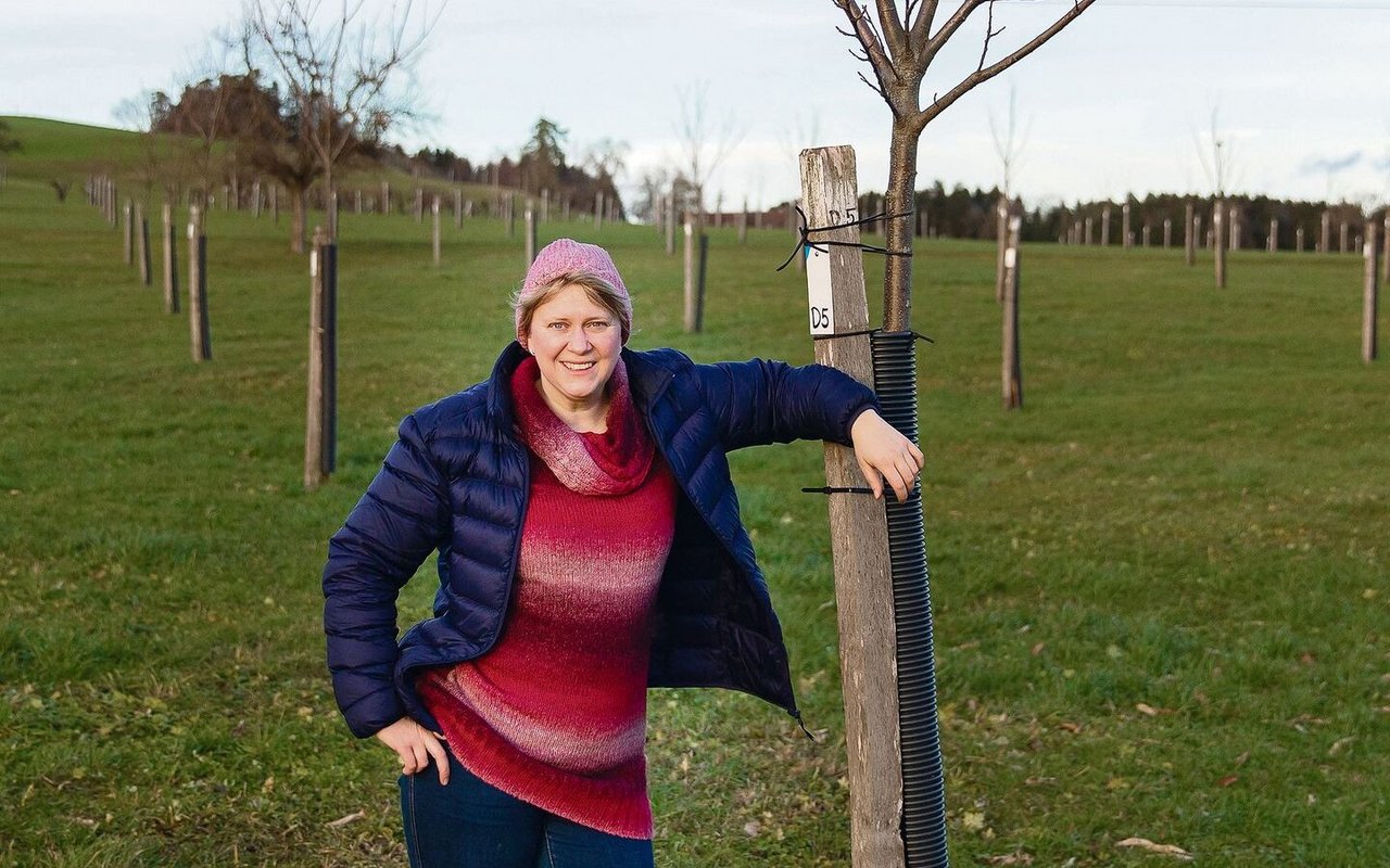 Sharon Holenstein ist stolz auf ihre Kastanienbäume: Auf einer Fläche von fünf Hektaren hat sie 352 Bäume gepflanzt. Dieses Jahr konnte sie 150 Kilo Edelkastanien ernten.