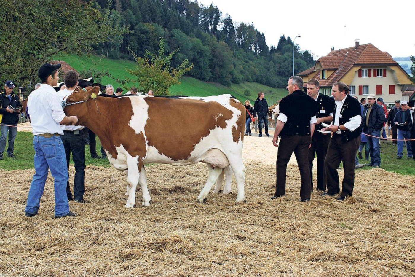 Still gehen auch die Expeten von der Bühne. Dieses Bild ist rund sieben Jahre alt. Andreas Brügger (im mutz von hinten) und Ruedi Sommer (rechts daneben) hatten ihre letzten Einsätze als Experten (Bild Archiv BauZ)